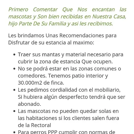 ロッジ Cabana Romantica De Piedra Con Chimenea